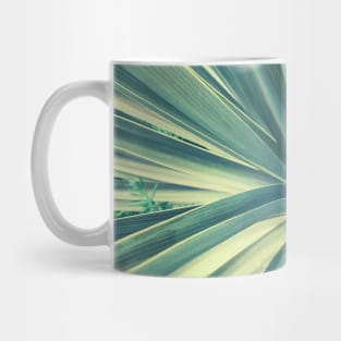 Tropical Palm Tree Close Up Mug